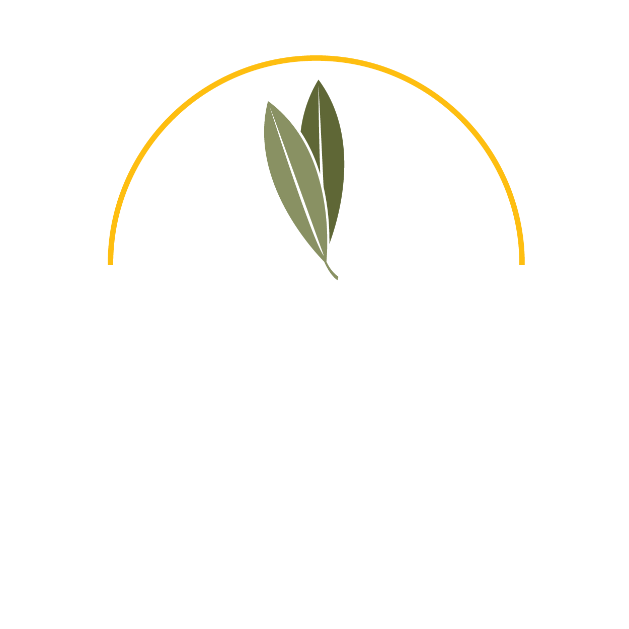 Mesimeri-Logo